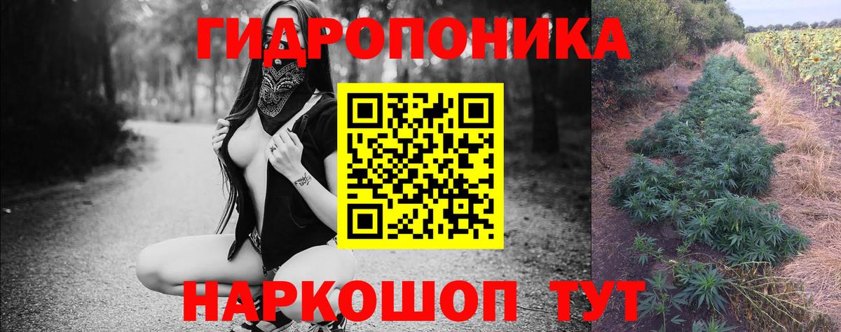 Шишки марихуана план Мценск
